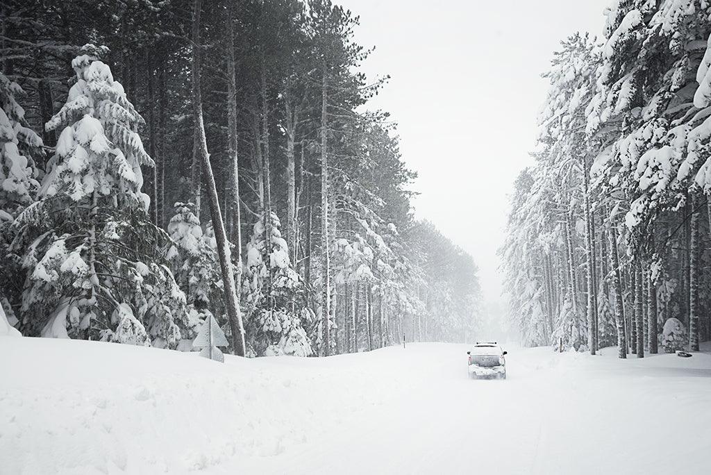 The Winter Wild - Backwoods Adventure Mods