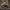 Radrunner Light Mod Early Access Black Friday – Backwoods Adventure Mods